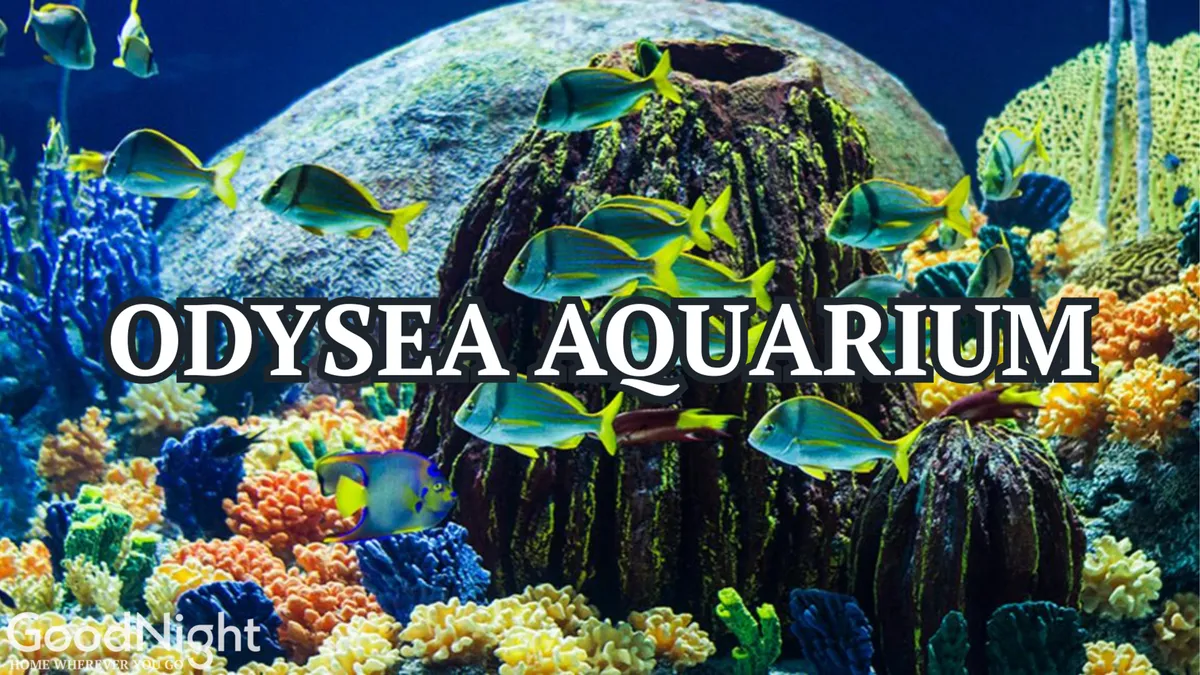 A vibrant, interior shot of an aquarium exhibit featuring colorful coral formations, swimming fish, and a central rock formation. The scene is playful and inviting, perfect for families and children.
